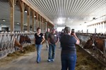 dairy