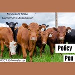 policy pen cover
