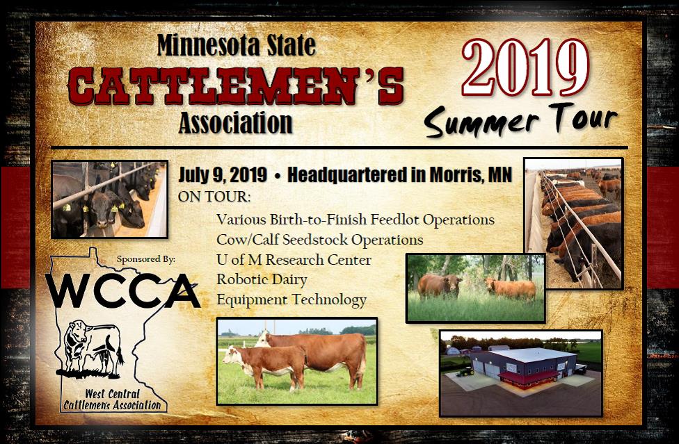 Summer Tour Half Page 2019 MSCA Summer Beef tour half page.